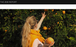The Zoe Report / April 2019