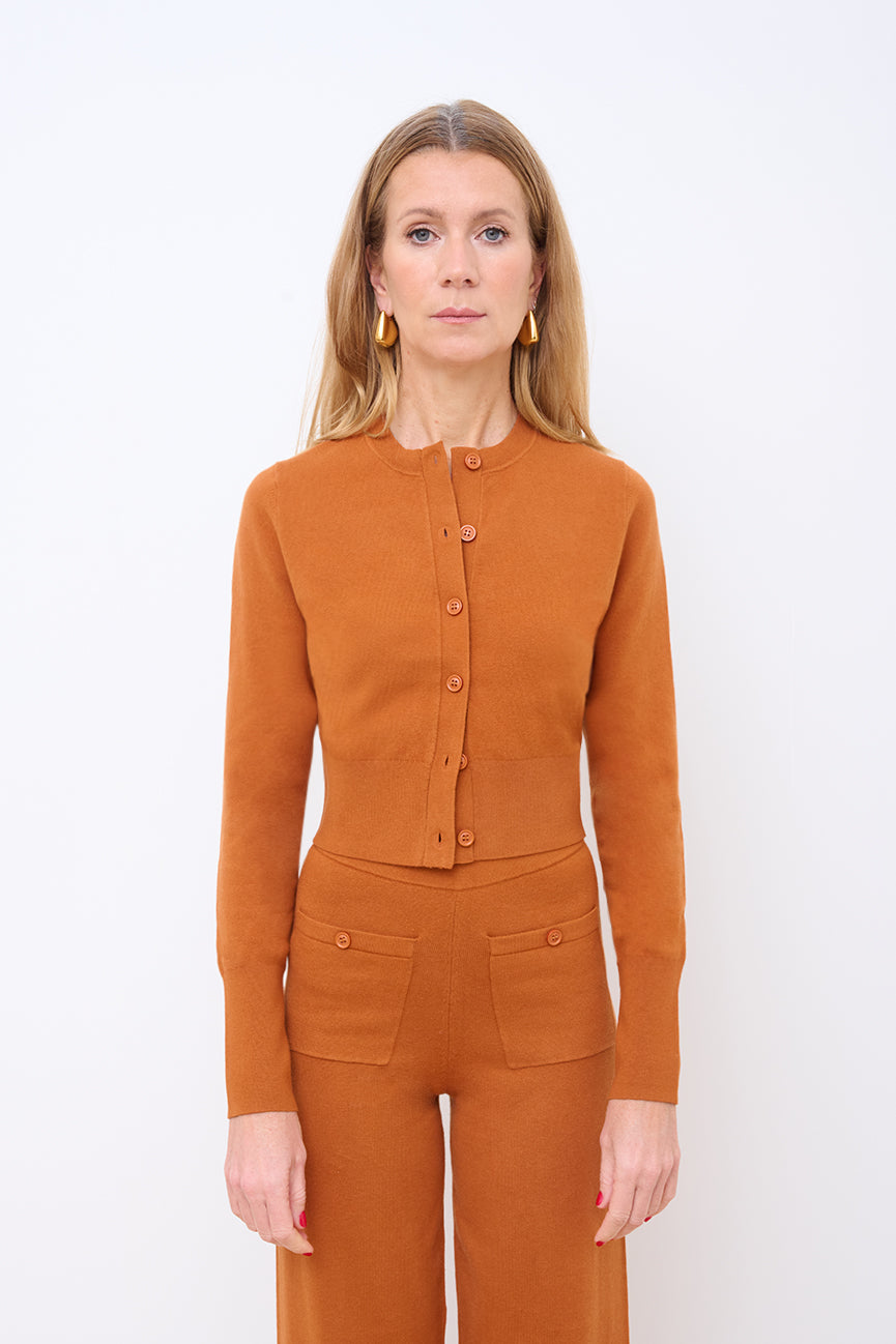 Ginger Tea Peachskin Long Sleeve Crop Cardigan