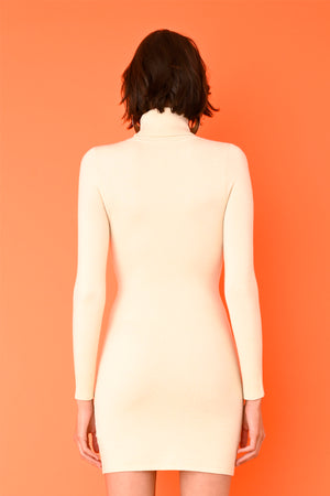 JoosTricot Cream EcoMerino Long Sleeve Turtleneck Mini Dress